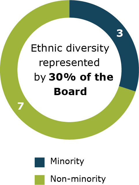 pie_ethnicitya.jpg